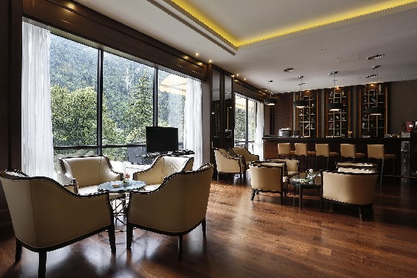 Hotel in Borjomi