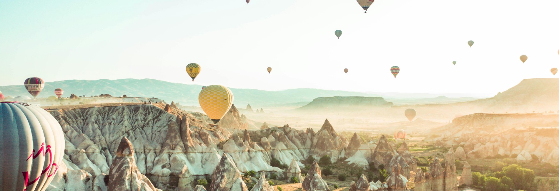 Main Page