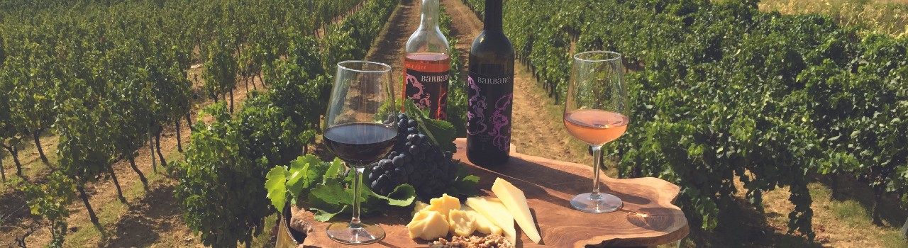 Cappadocia Winery Group Tour Day 1