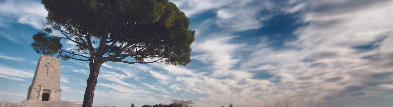 Magical Turkey And Egypt Tour Day 3