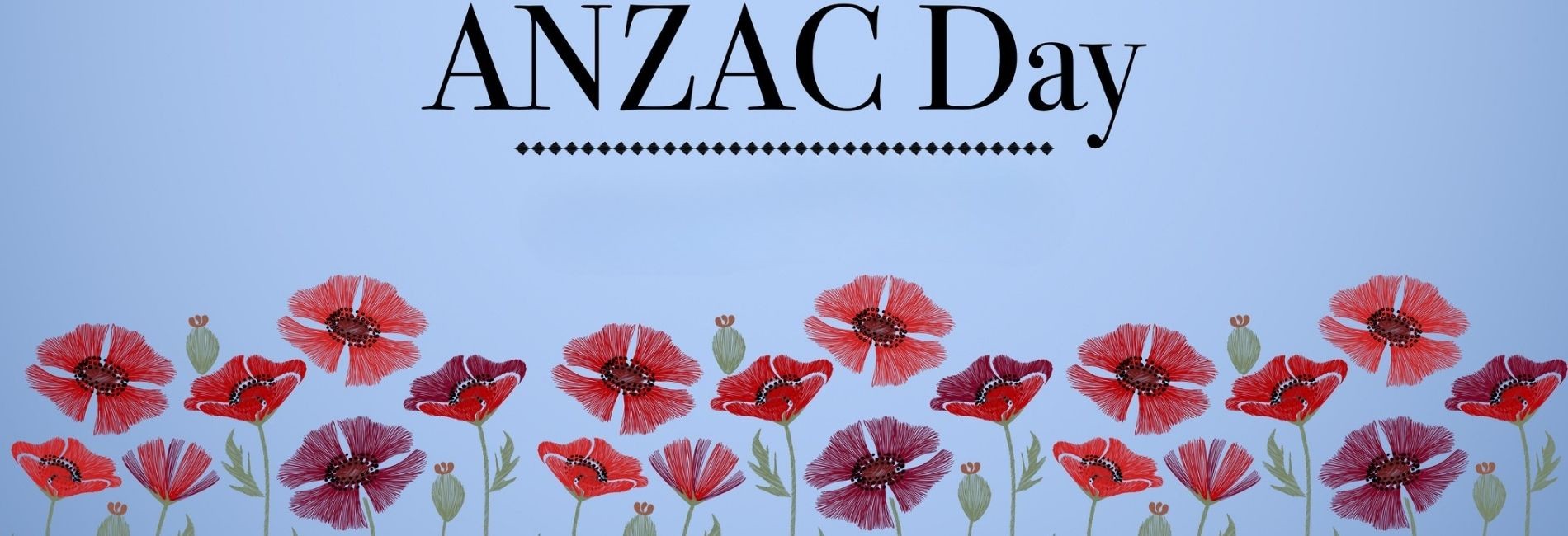 Anzac Day Tours