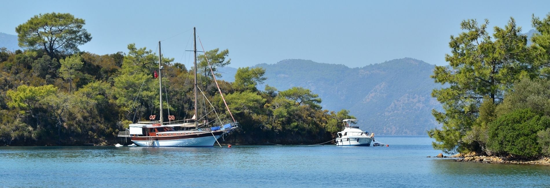 Land and Sea Tours